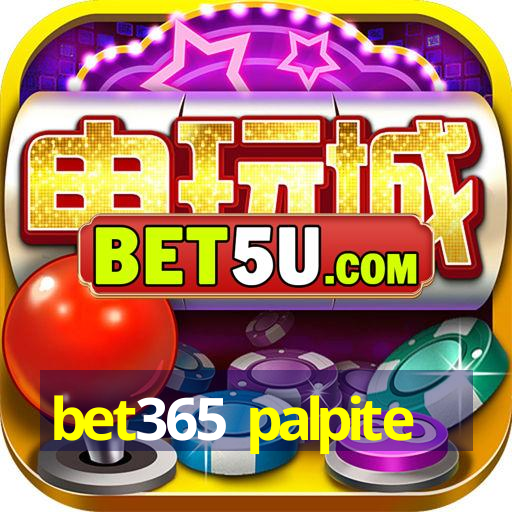 bet365 palpite